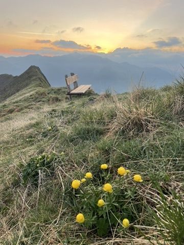 Eine Bank auf einer grasbewachsenen Hügelkuppe bei Sonnenuntergang mit gelben Wildblumen im Vordergrund.