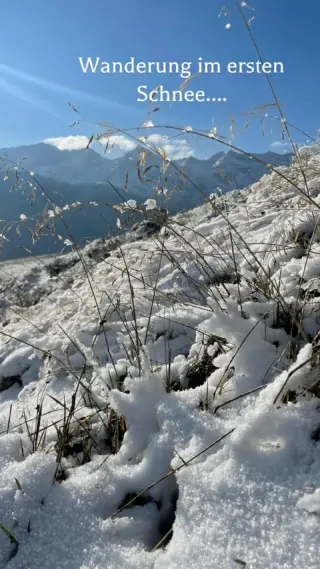 Ich liebe den ersten Schnee ❄️
Die Ruhe draußen tut gut, frische Luft, Bewegung, Natur um mich herum.
Jede Minute draußen stärkt Körper, gleicht den Geist aus und schenkt mir Zufriedenheit.
Einfach gehen, atmen, den Moment genießen 🌿✨los geht‘s, komm mit✨  #wanderführerin#achtsamkeit#naturführerin#wanderglück#indiebergbinigern❤️#naturgenuss#schneezauber#seelebaumelnlassen#zufriedenundglücklich#naturliebe💚#draussenmachtglücklich#achtsamkeitsmoment#dankbarkeit❤️#zillertal#tux#tuxertal🇦🇹