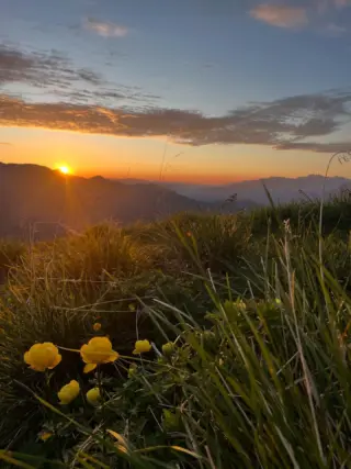 ✨Sonnenaufgang in den Bergen, so ein magischer Moment✨
